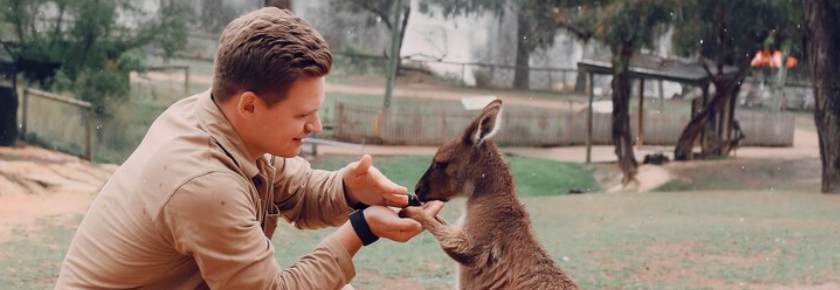 Visit Melbourne Zoo